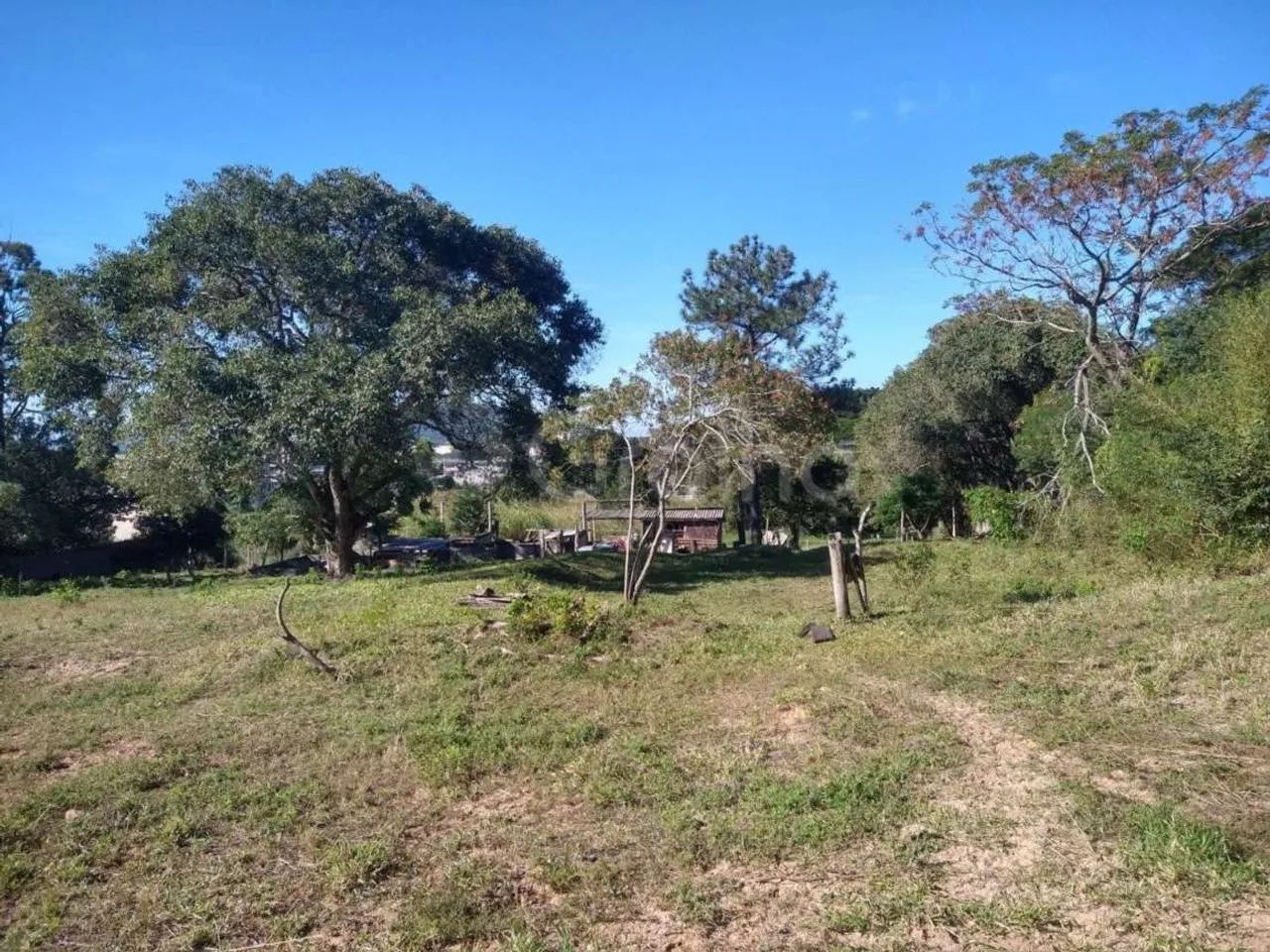 Terreno para Venda em Florianópolis, Ingleses do Rio Vermelho - Foto 2