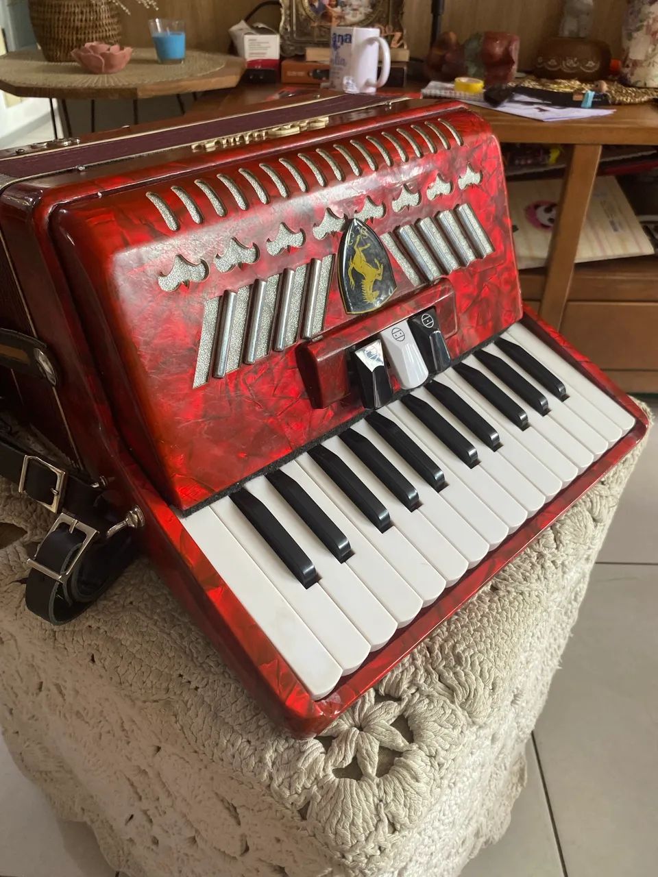 SANFONA 48 BAIXOS ACORDEON