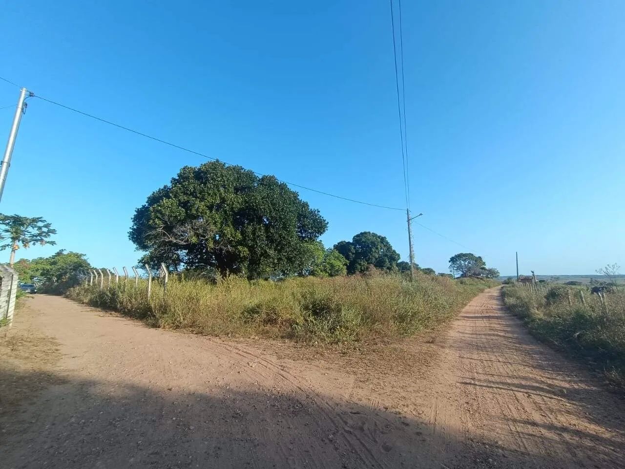 EXCELENTE SÍTIO COM 4 TAREFAS EM SÃO DOMINGOS. - Foto 5