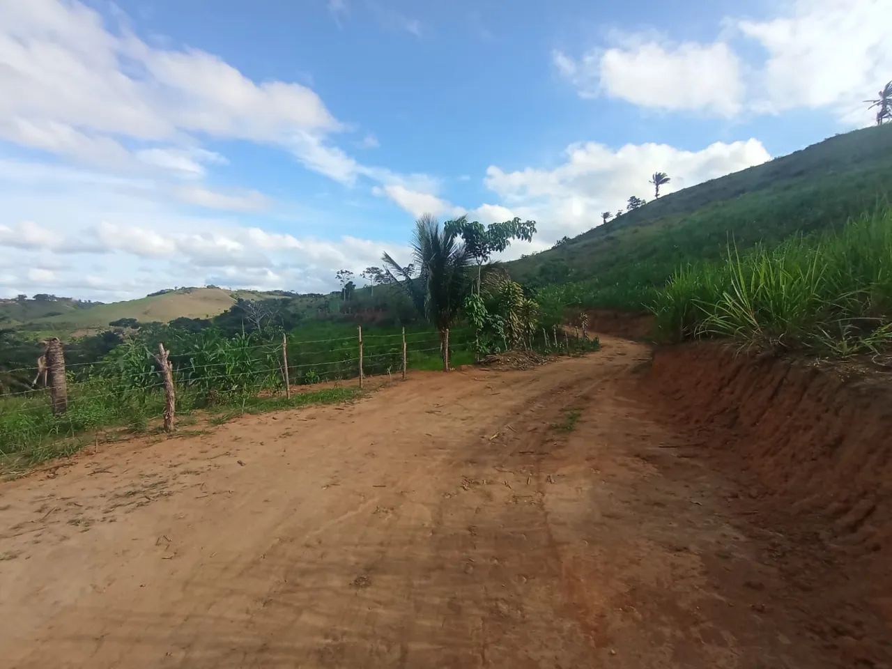 Sítio com 7 hectare  - Foto 3