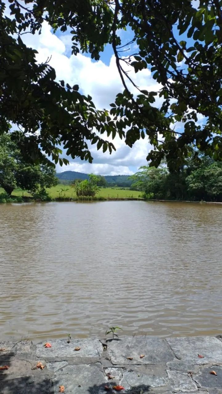 Fazenda para Venda em Pirenópolis, ZONA RURAL, 3 dormitórios, 1 suíte, 2 banheiros, 3 vaga - Foto 11
