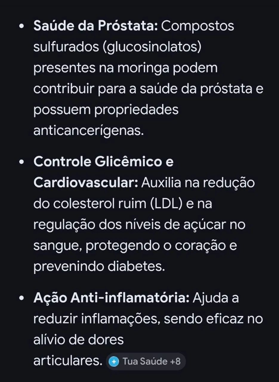 Moringa oleífera em pó para consumo humano - Foto 6
