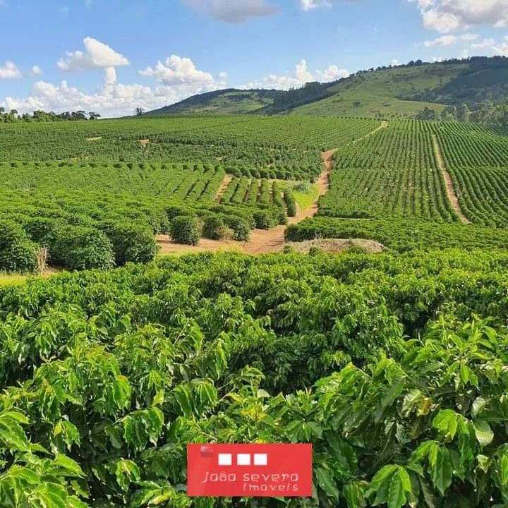 Fazenda para Venda em Perdões