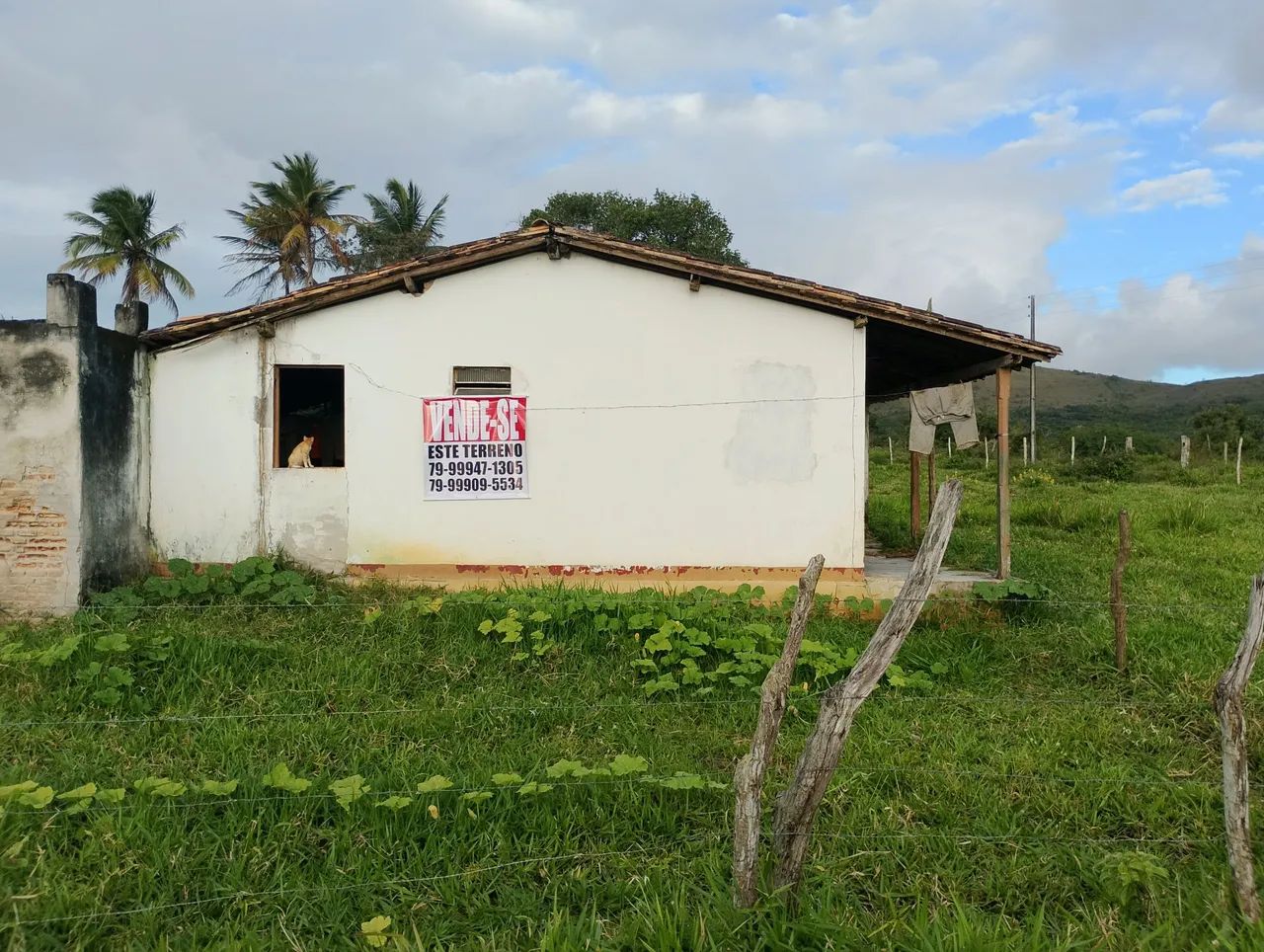 Sítio povoado serra comprida areia Branca sergipe