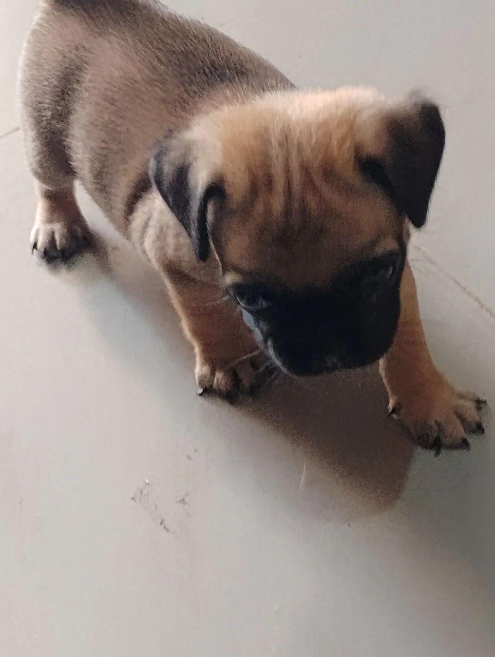 Vende se