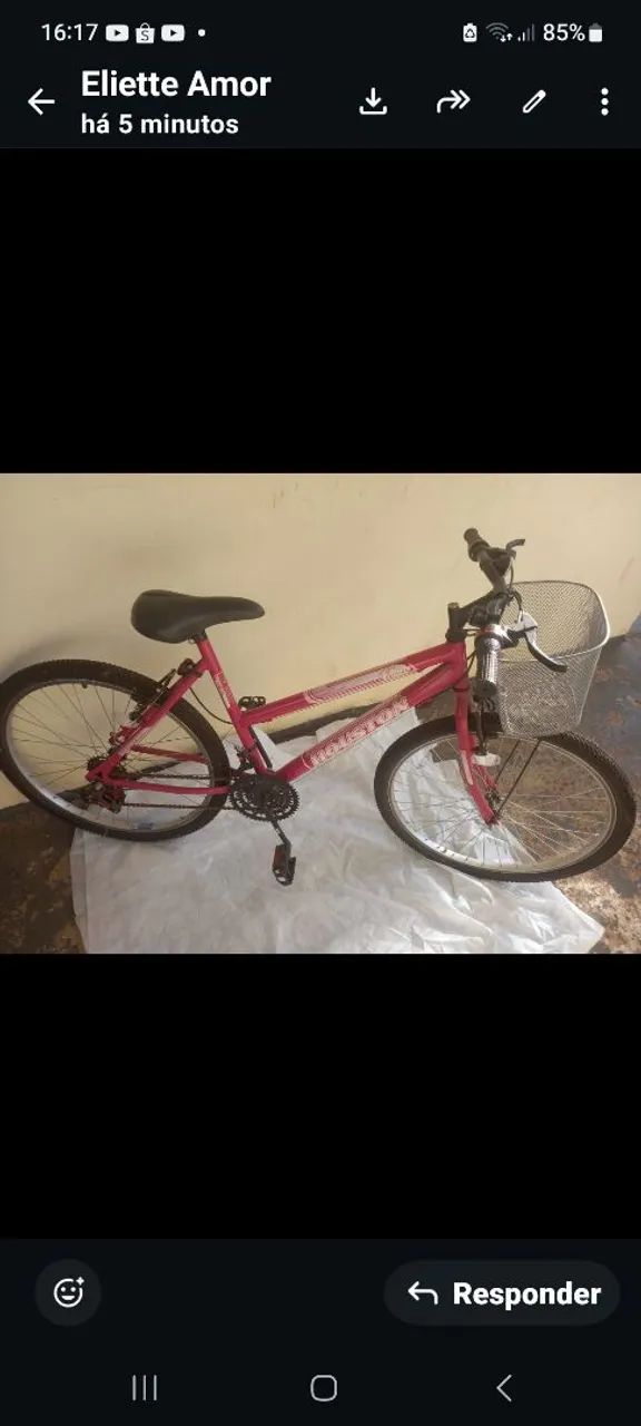 Bicicleta feminina 
