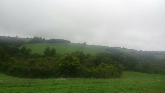 Excelente fazenda terra boa - Foto 15
