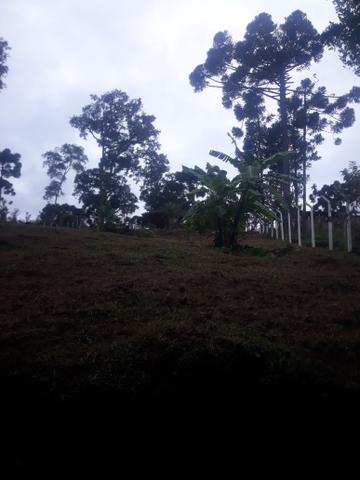Chácara em Campina Grande do Sul - Aceito troca carro / caminhão/ terreno casa - Foto 10