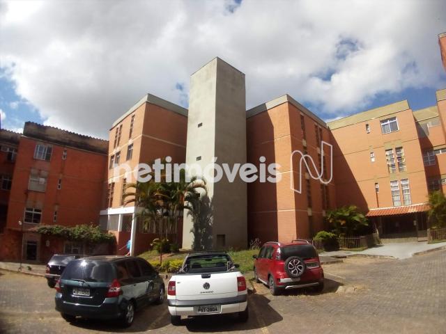 Apartamento à venda com 3 dormitórios em Estrela dalva, Belo horizonte cod:755311