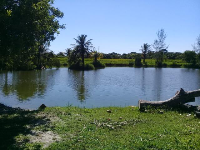 L-Loteamento Localizado a 500m da Rodovia Amaral Peixoto em Unamar - Tamoios - Cabo Frio! - Foto 4