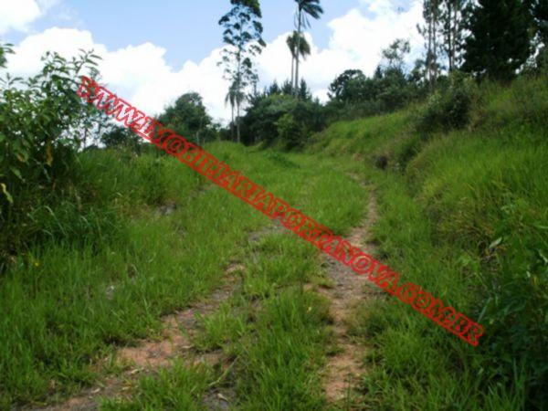 Terreno à venda em Potuvera, Itapecerica da serra cod:4510 - Foto 6