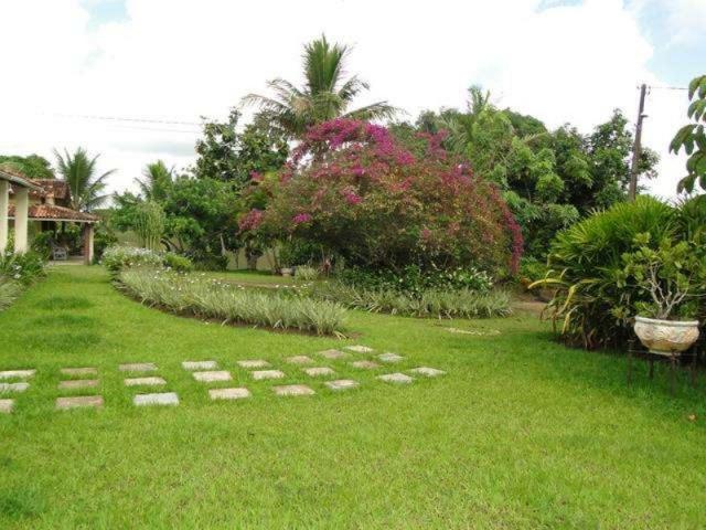 Maravilhosa oportunidade fazenda em maragogipe 120ta - Foto 2