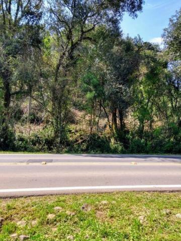 Inbox vende: terreno no vale dos vinhedos