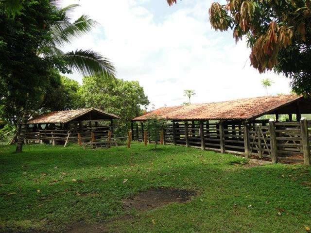 Maravilhosa oportunidade fazenda em maragogipe 120ta - Foto 9