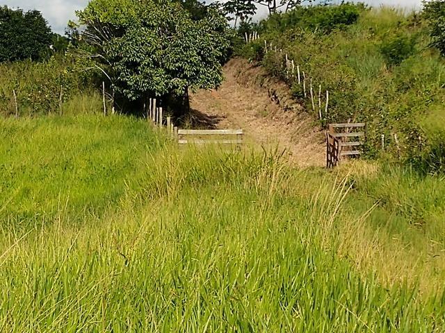 9 hectares nas Margens da BR 232 a 25 km de Recife PE - Foto 17