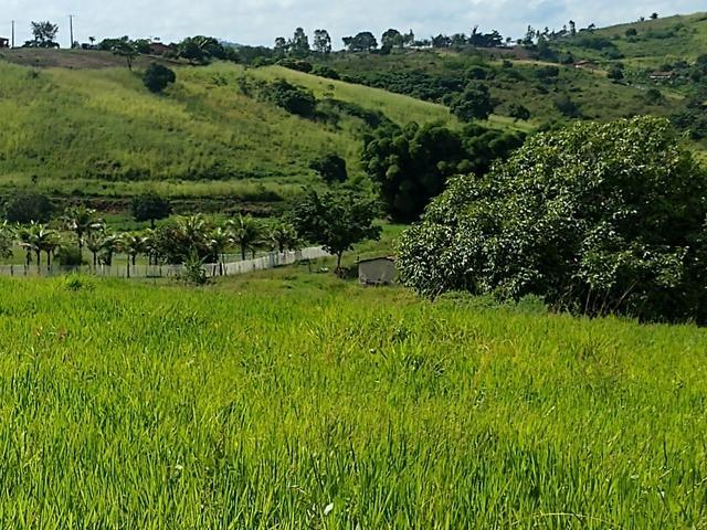 9 hectares nas Margens da BR 232 a 25 km de Recife PE - Foto 10
