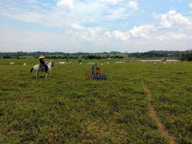 Sítio à venda, por R$ 2.775.000 - Zona Rural - Teixeirópolis/RO - Foto 14