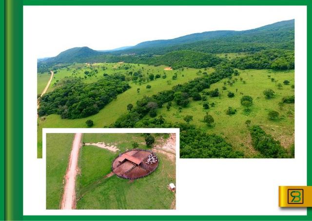 Fazenda em Cáceres - Foto 4