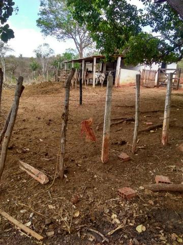 Sitio formado com toda infraestrutura, Zona Rural 65km de Recife - Foto 17
