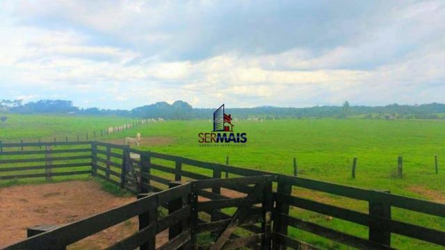 Sítio à venda, por R$ 2.775.000 - Zona Rural - Teixeirópolis/RO - Foto 8