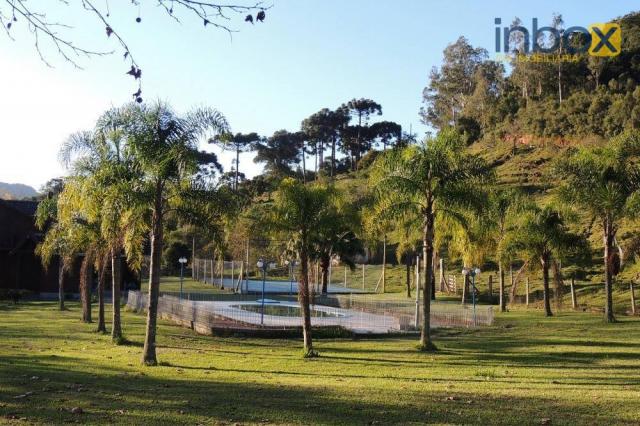 Inbox vende - excelente sítio em pinto bandeira. - Foto 11