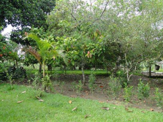 Maravilhosa oportunidade fazenda em maragogipe 120ta - Foto 17