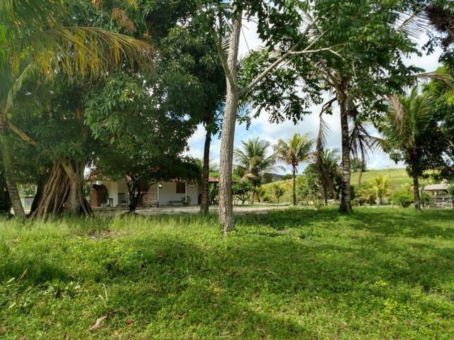 9 hectares nas Margens da BR 232 a 25 km de Recife PE - Foto 14