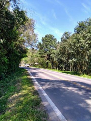 Inbox vende: terreno no vale dos vinhedos - Foto 3