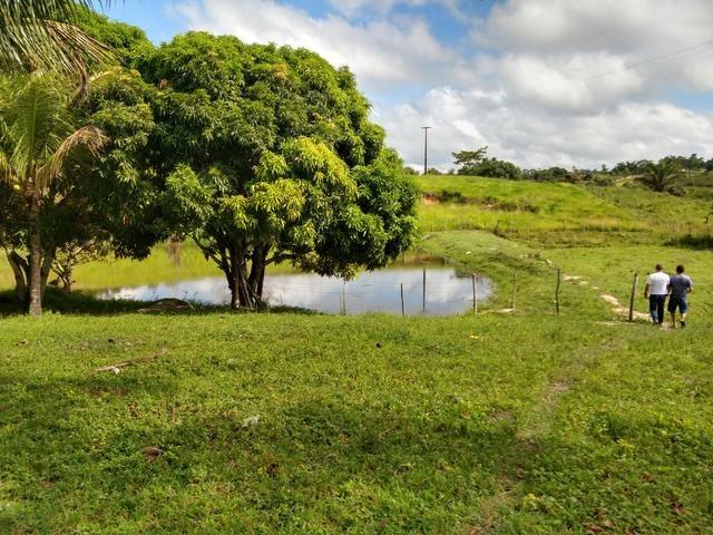 9 hectares nas Margens da BR 232 a 25 km de Recife PE - Foto 11