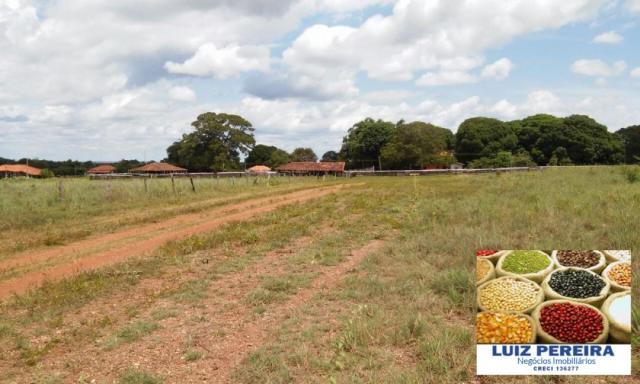 FAZENDA A VENDA DE 906 ALQUEIRÕES EM ARAGUAÇU - TO (Dupla Aptidão) - Foto 16