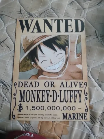 11 ideias de Meus animes  anime, wanted one piece, mangá one piece