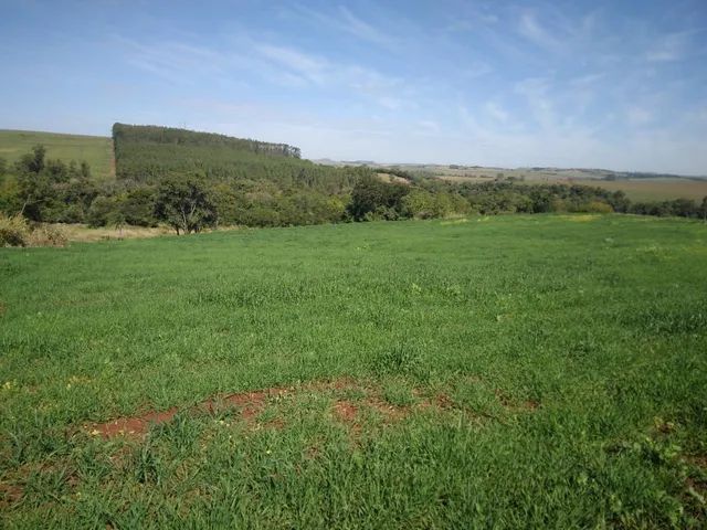 Vende Sitio 47.9 alqueiro   - Foto 2