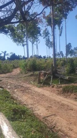 Sítio com 3 quartos à venda, 0m² - LAMOUNIER - Foto 2