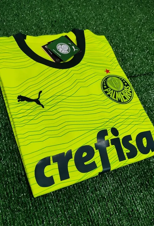 Camisa Palmeiras 2023