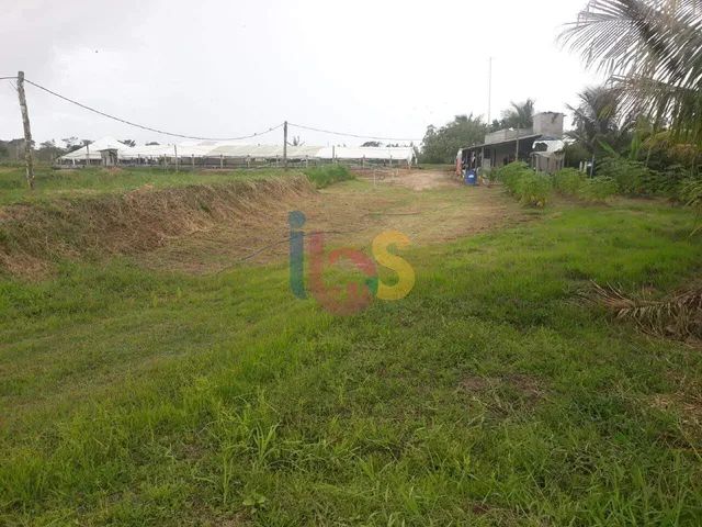 Vendo Fazenda Vida Nova - Foto 3