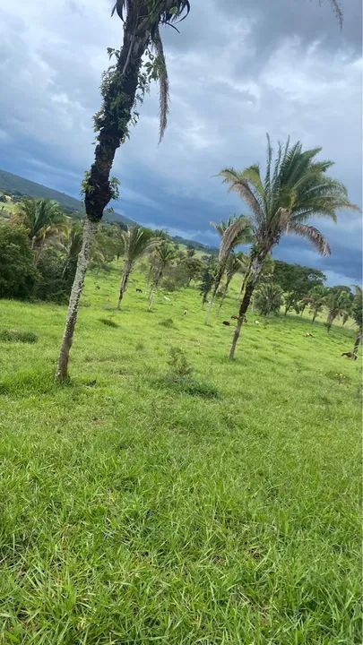 Fazenda Cocalzinho Goiás  - Foto 2