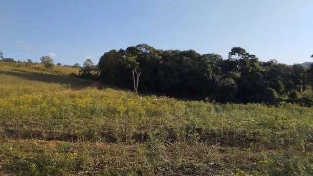 Exelente terreno .3.500m² - Foto 4
