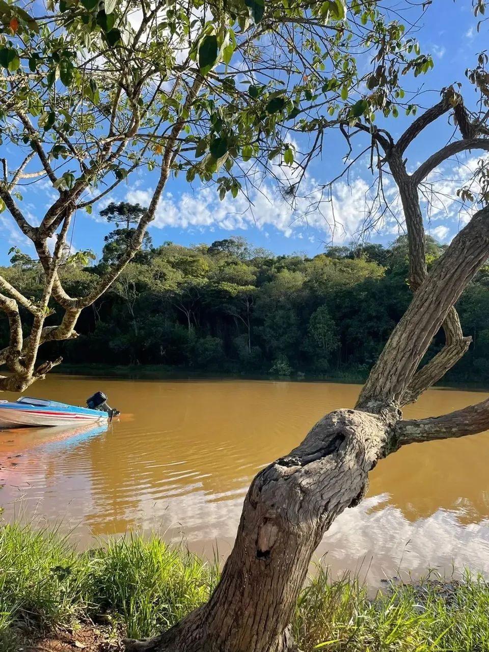 R$ 57.900: Seu Sonho de 1000m² em Ibiúna Começa Agora! - Foto 10