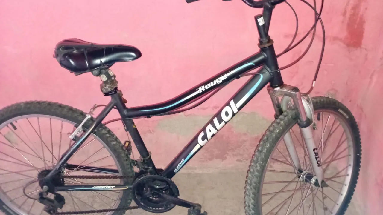 VENDO BICICLETA CALOI