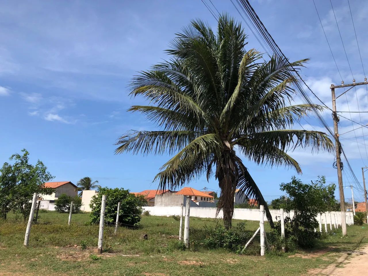 Foto - São João da Barra - 