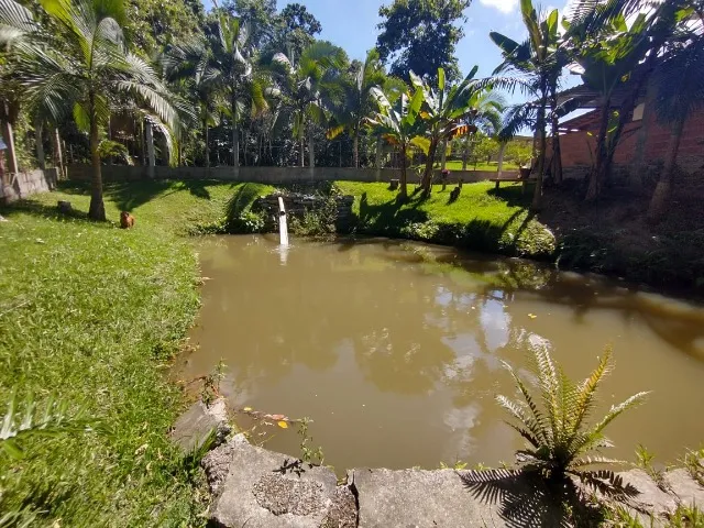 Vendo sítio Vargem alta 2000 mts