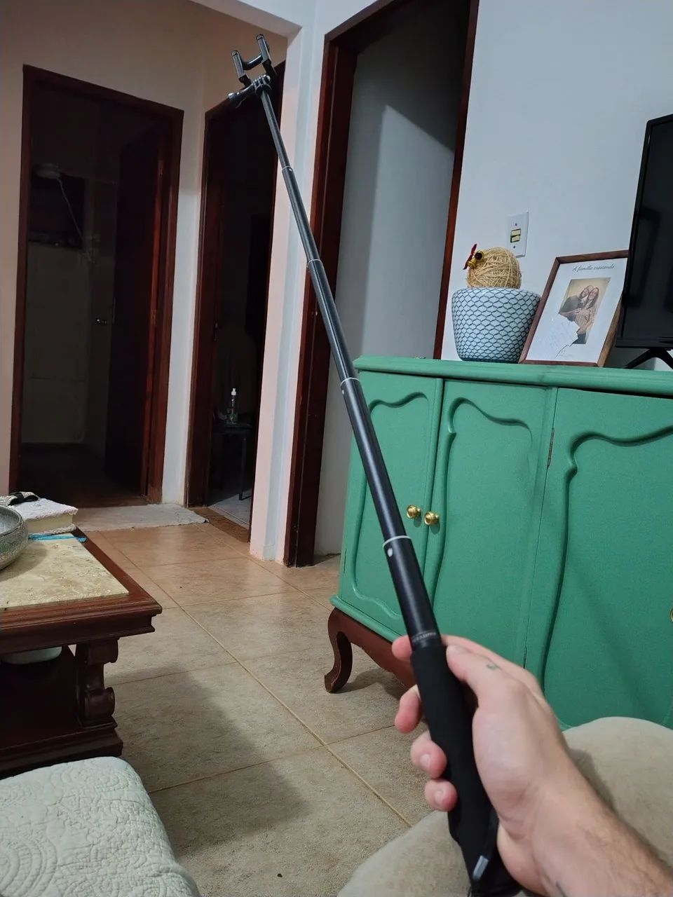 Pau de selfie
