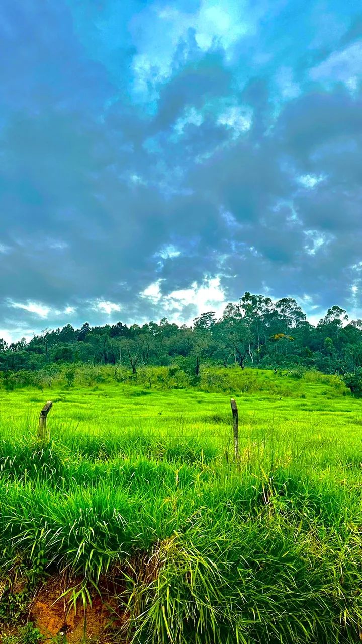 Invista em uma Área Valorizada  Garanta o Seu! - Foto 6
