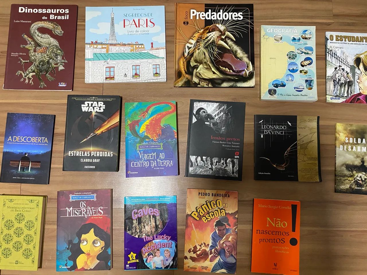 Lote de livros 