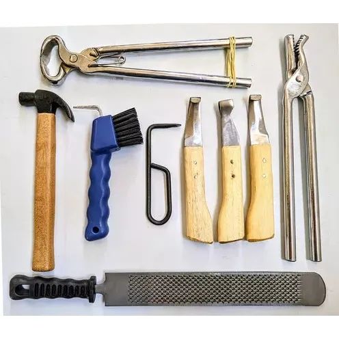 Doma Racional de Equinos - Foto 4