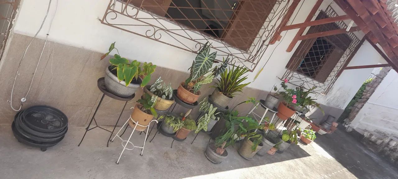 Vasos de planta e Tripés em ótimo estado - Foto 3