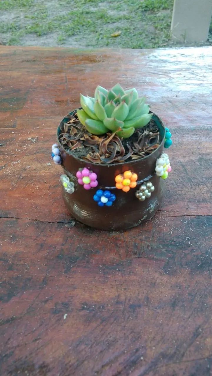 Plants63825060915457124