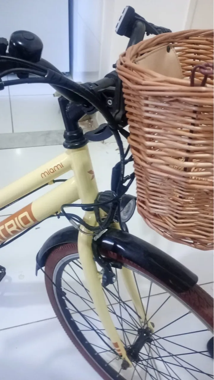 Bicicleta Elétrica
