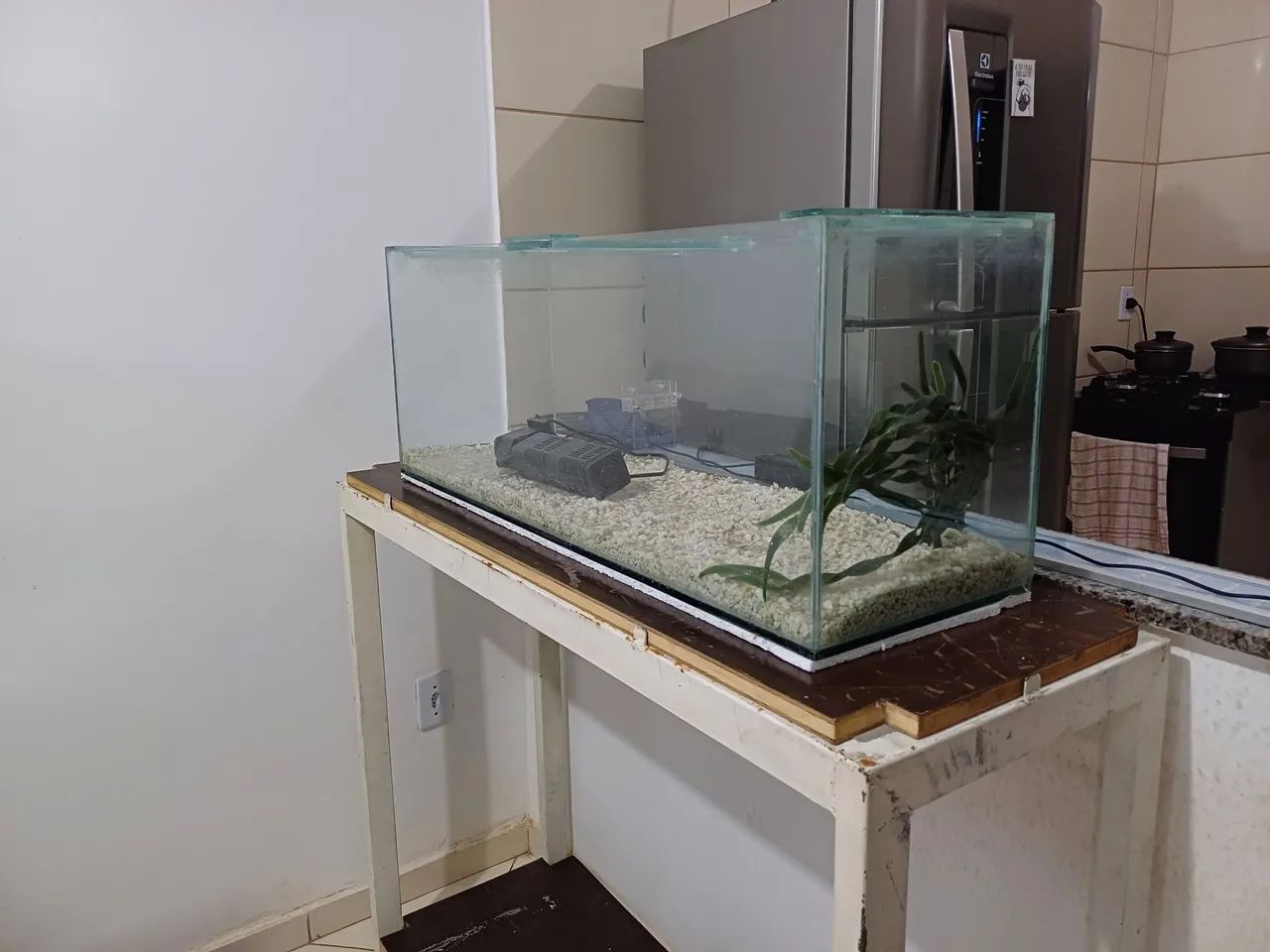 Aquário grande - Foto 2