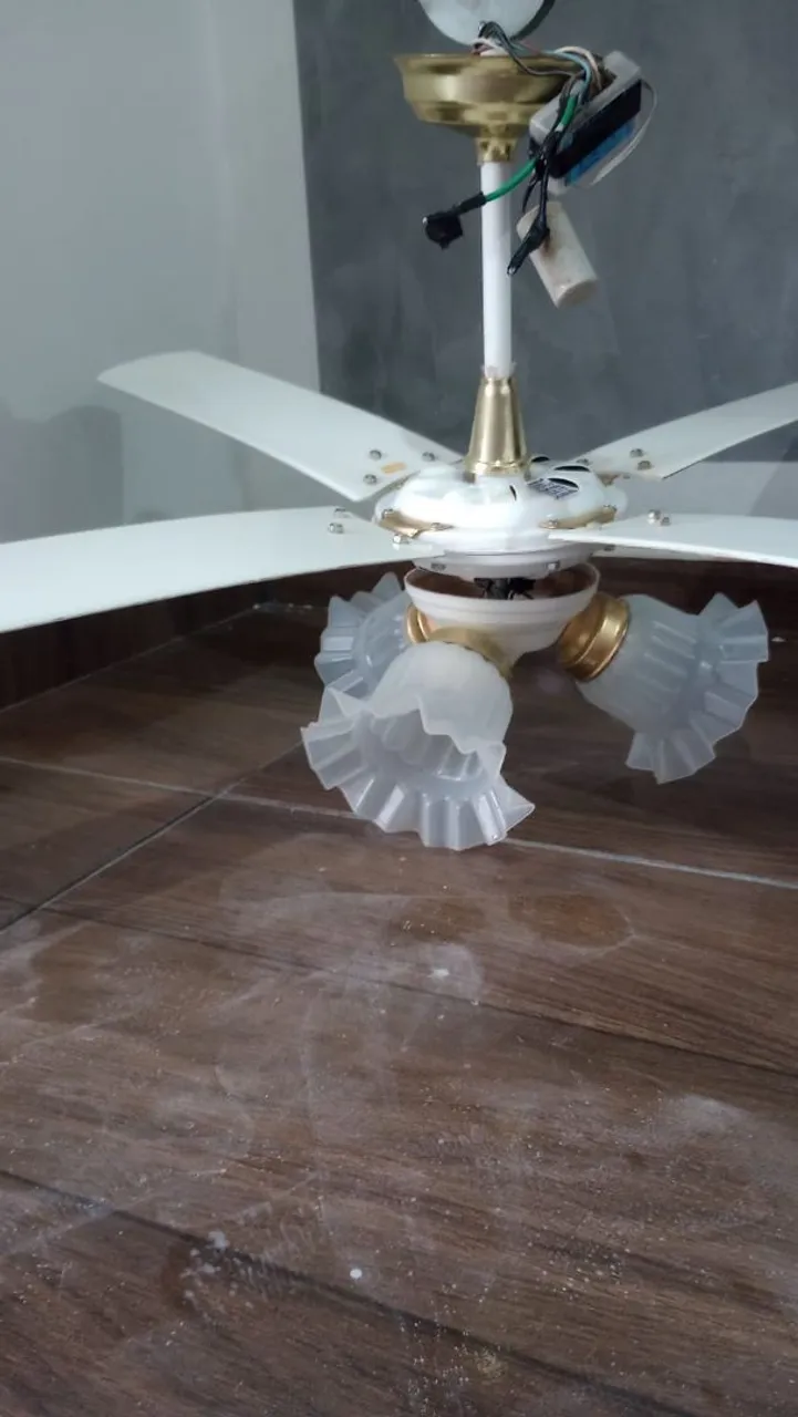 Ventilador de teto semi novo